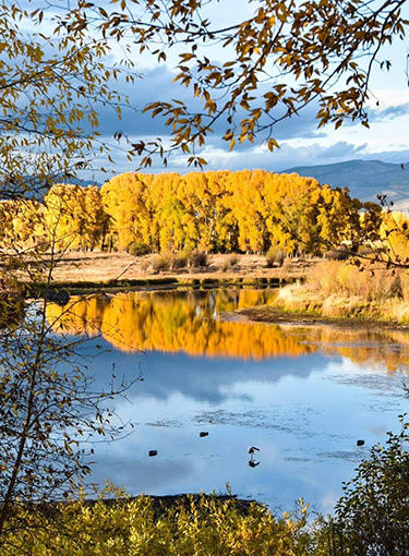 Colorado River in the Fall