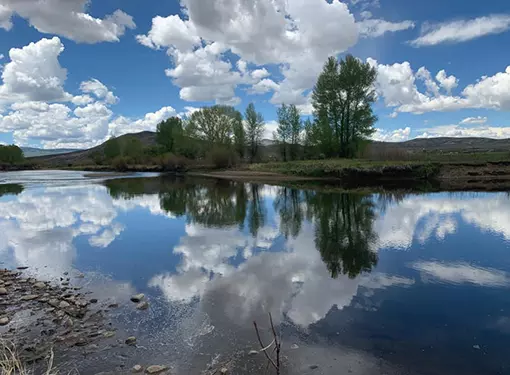 Summer River Reflection